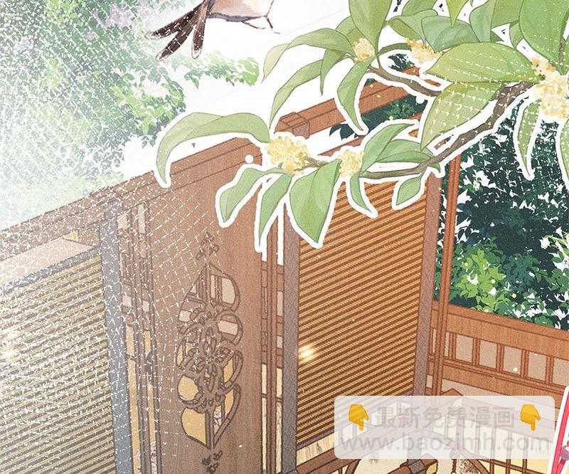 第3话(1/3)-第3话