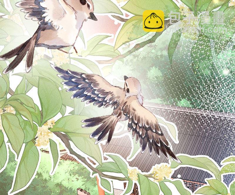 第3话(1/3)-第3话