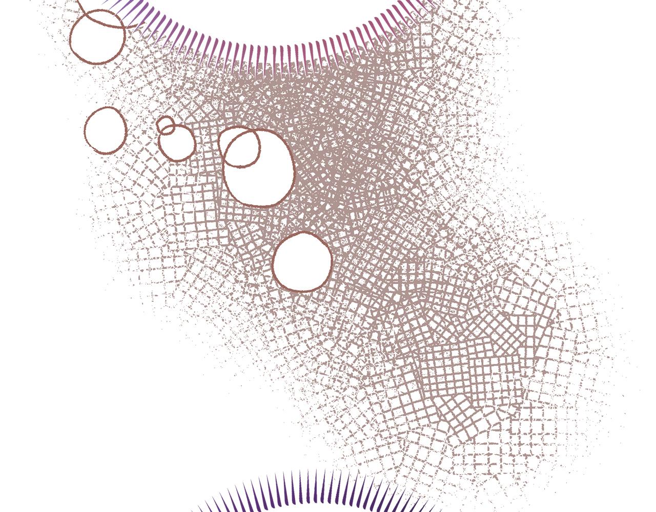 第41话 禁止售卖(1/4)-第41话