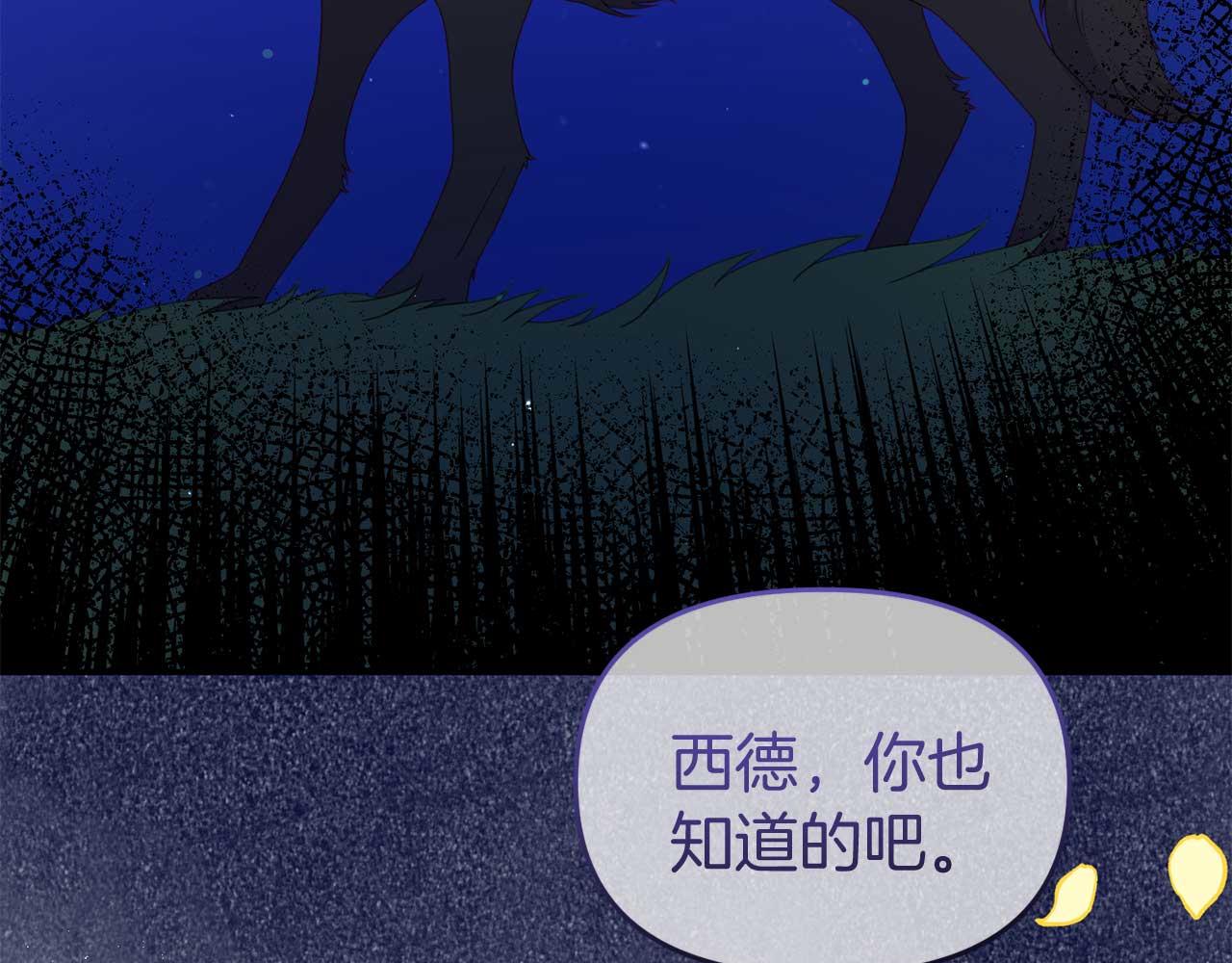 第59话 满月前的准备(1/4)-第59话