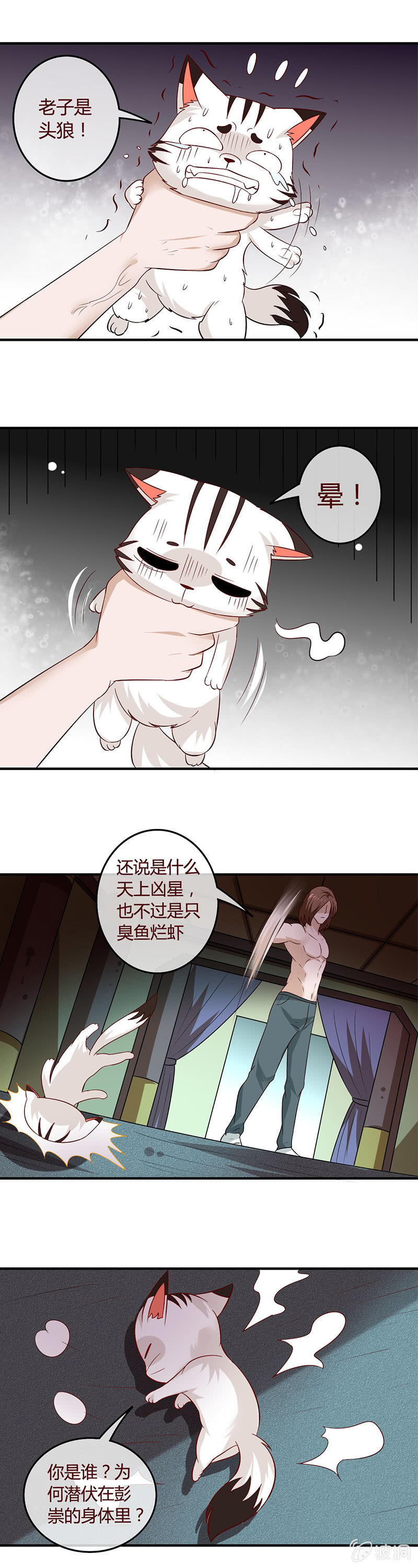 身体的归属-第79话