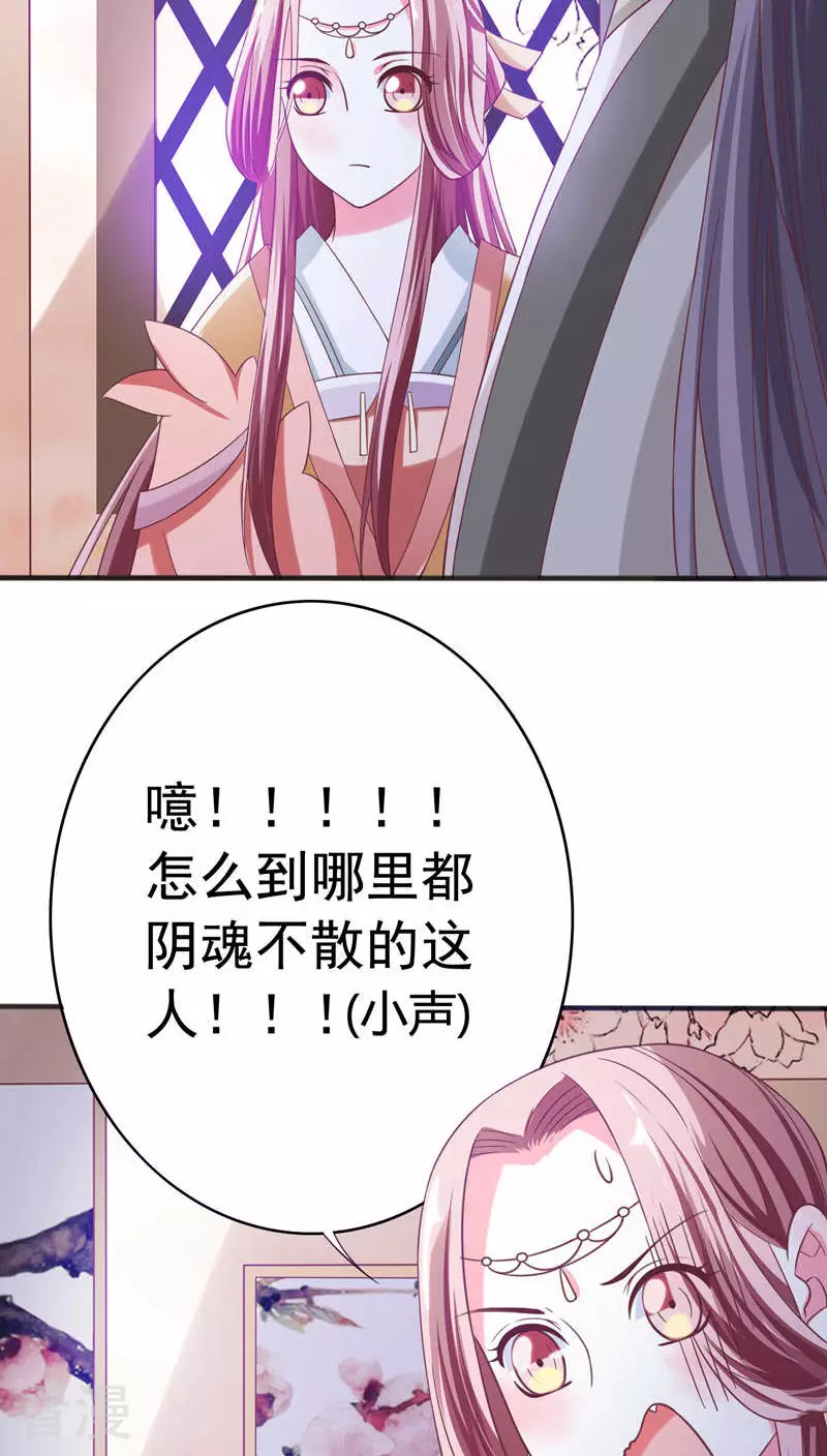 第36话 醉遇仙女-第37话