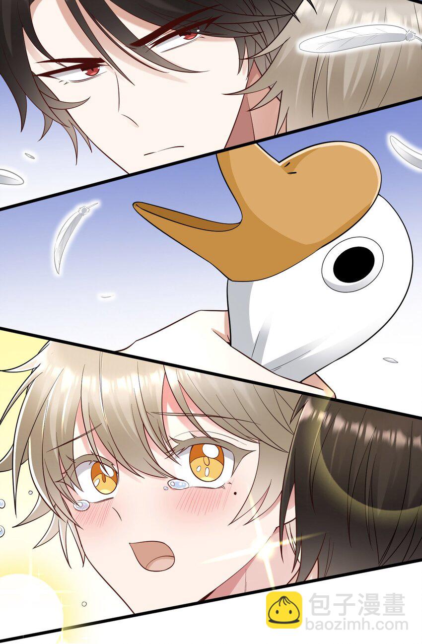 062 综艺体质-第63话