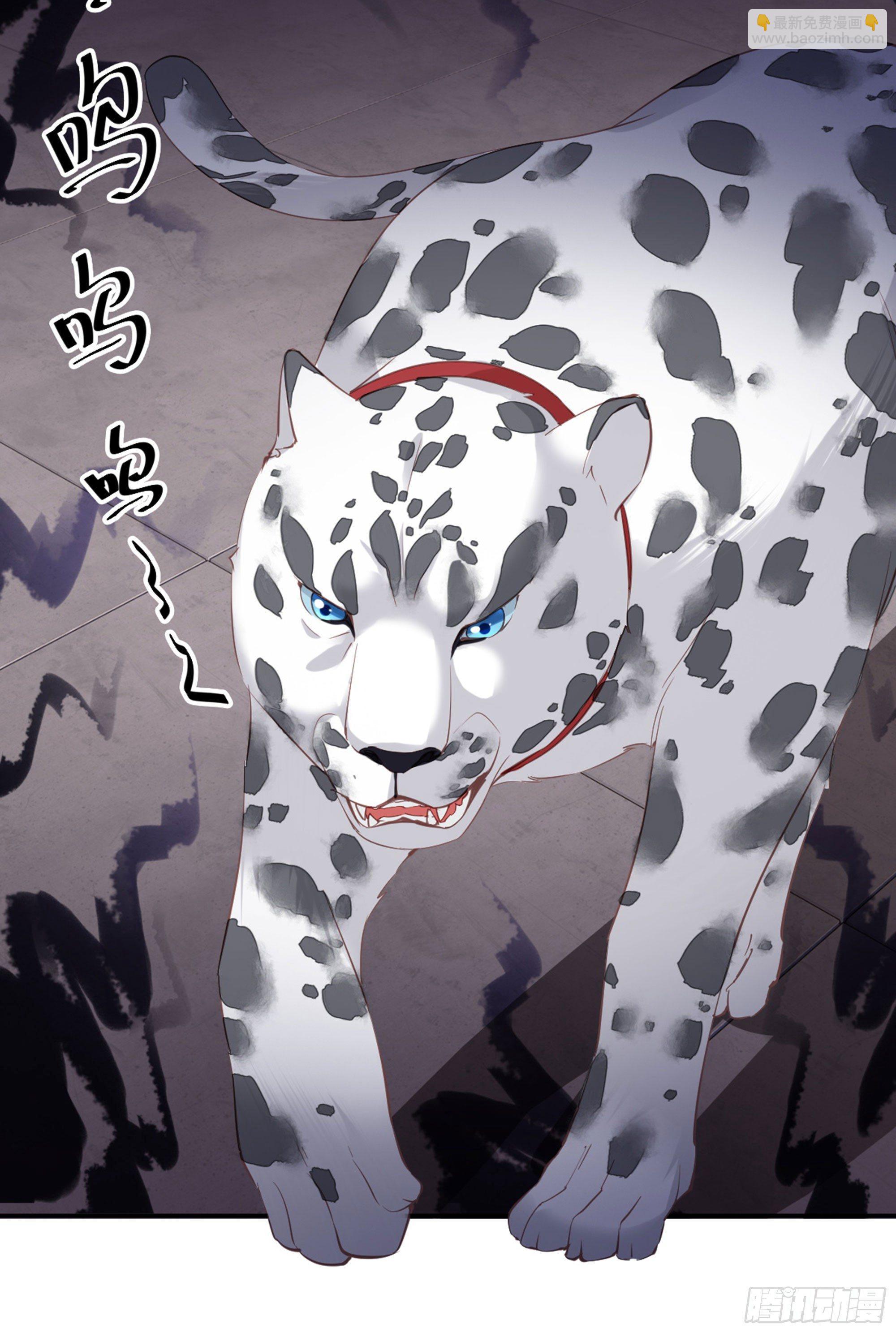 第八十七话（下）-第179话