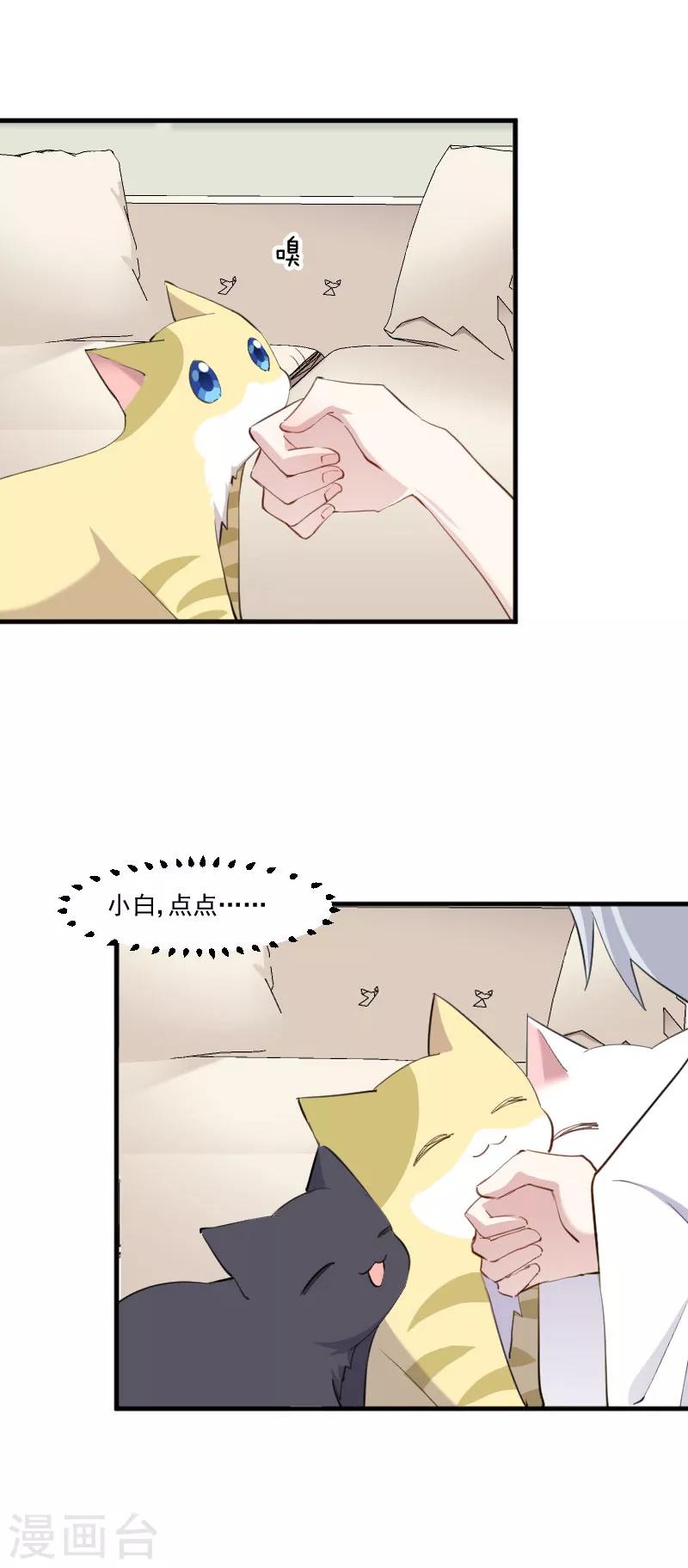 第104话 猫身上的秘密-第107话