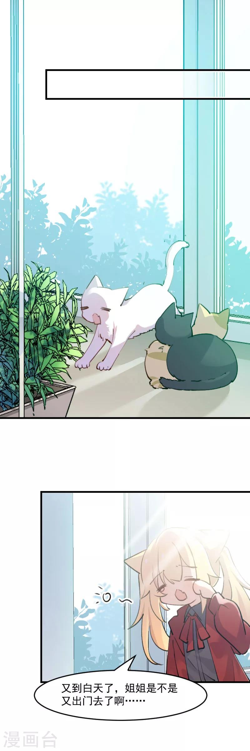 第124话 三只小猫的冒险章-第127话