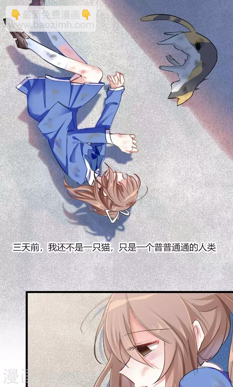 第2话 天降喵神？-第3话