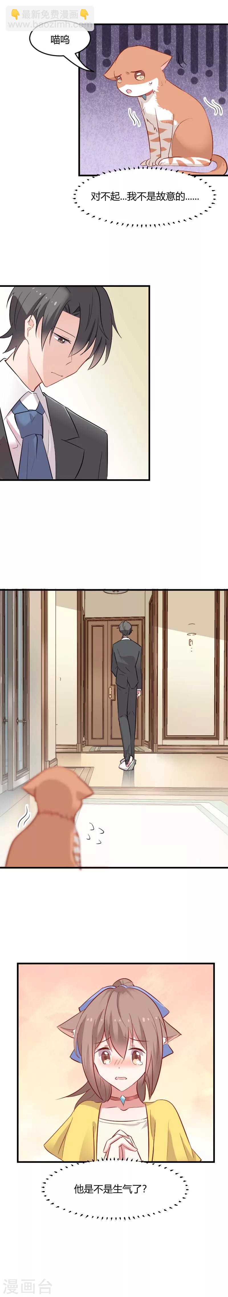 第22话 撸猫不成反被挠-第23话