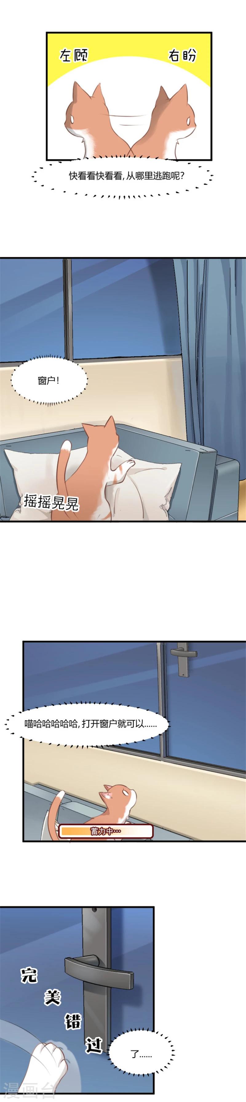 第6话 成功引起我的注意-第7话