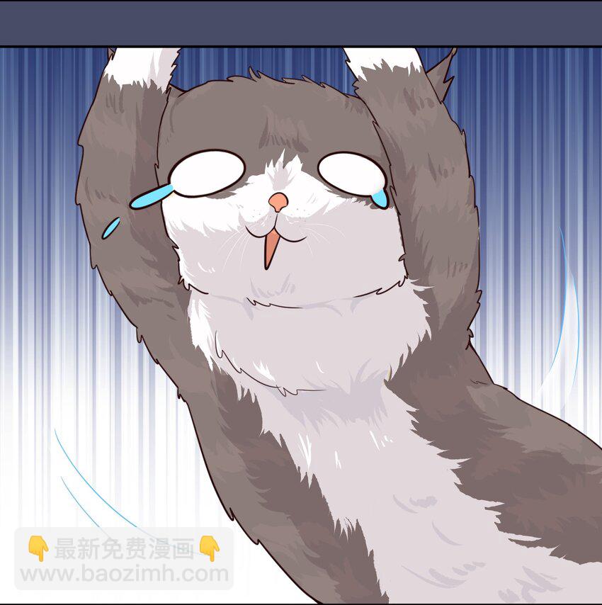 016 你很能打吗？-第21话