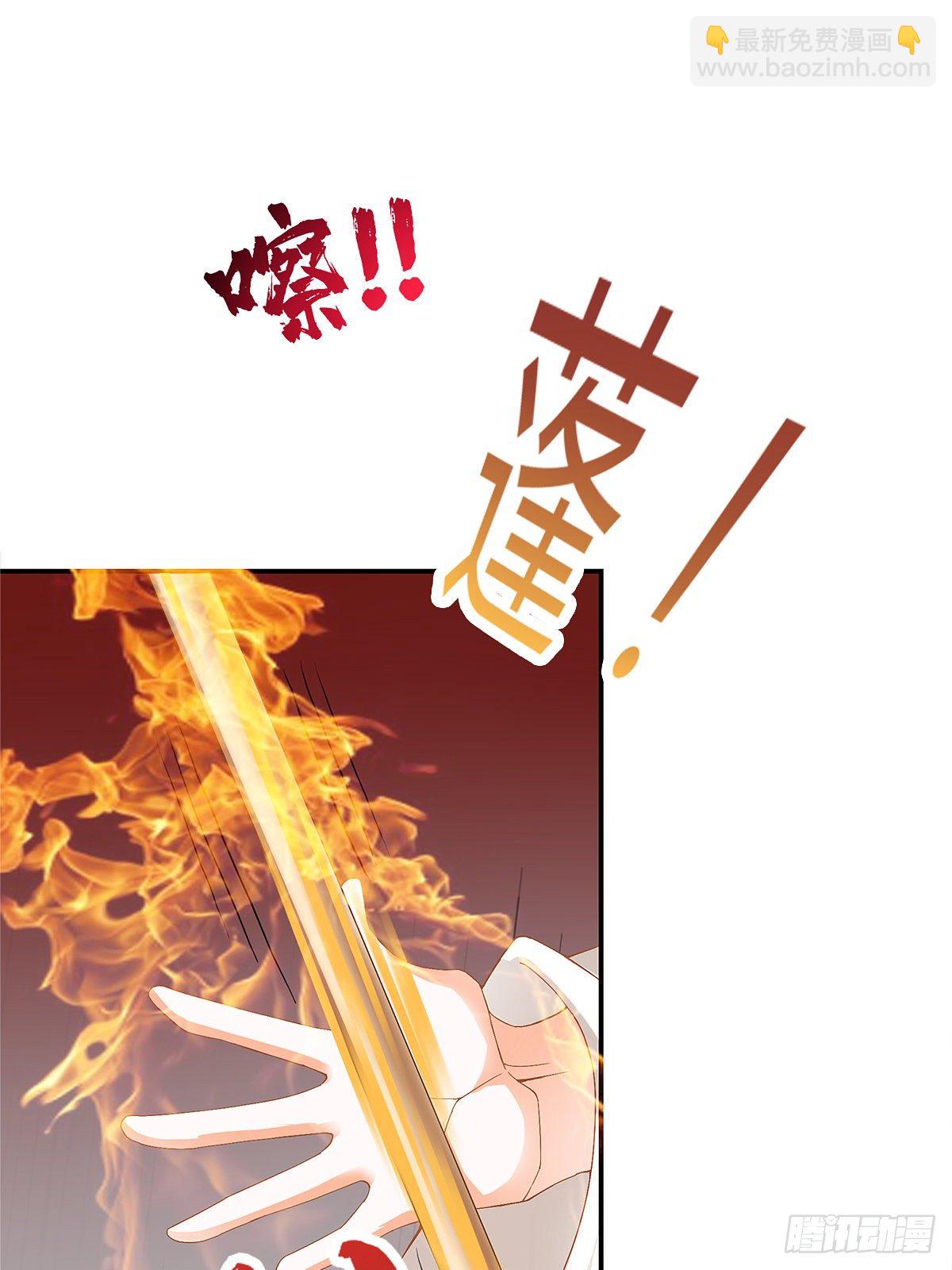 阴险的卫苍-第29话