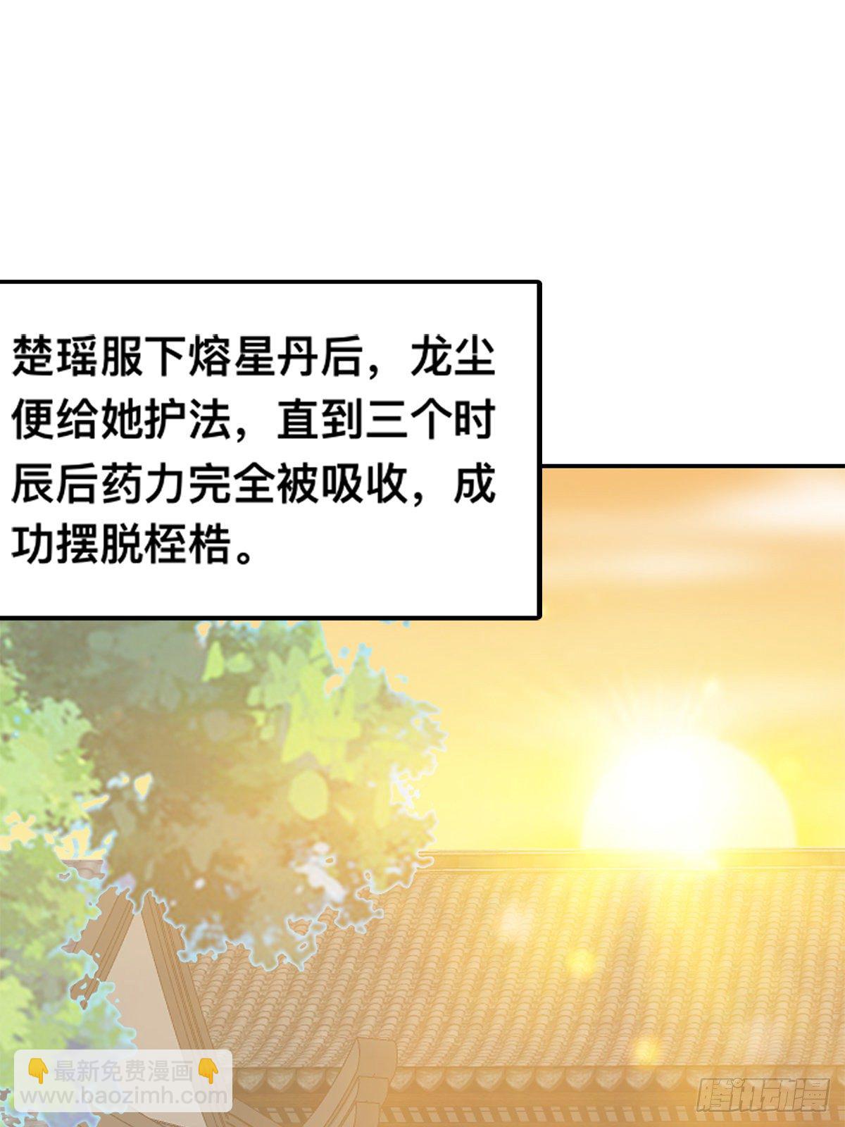 九星霸體訣 - 楚夏的計劃 - 3