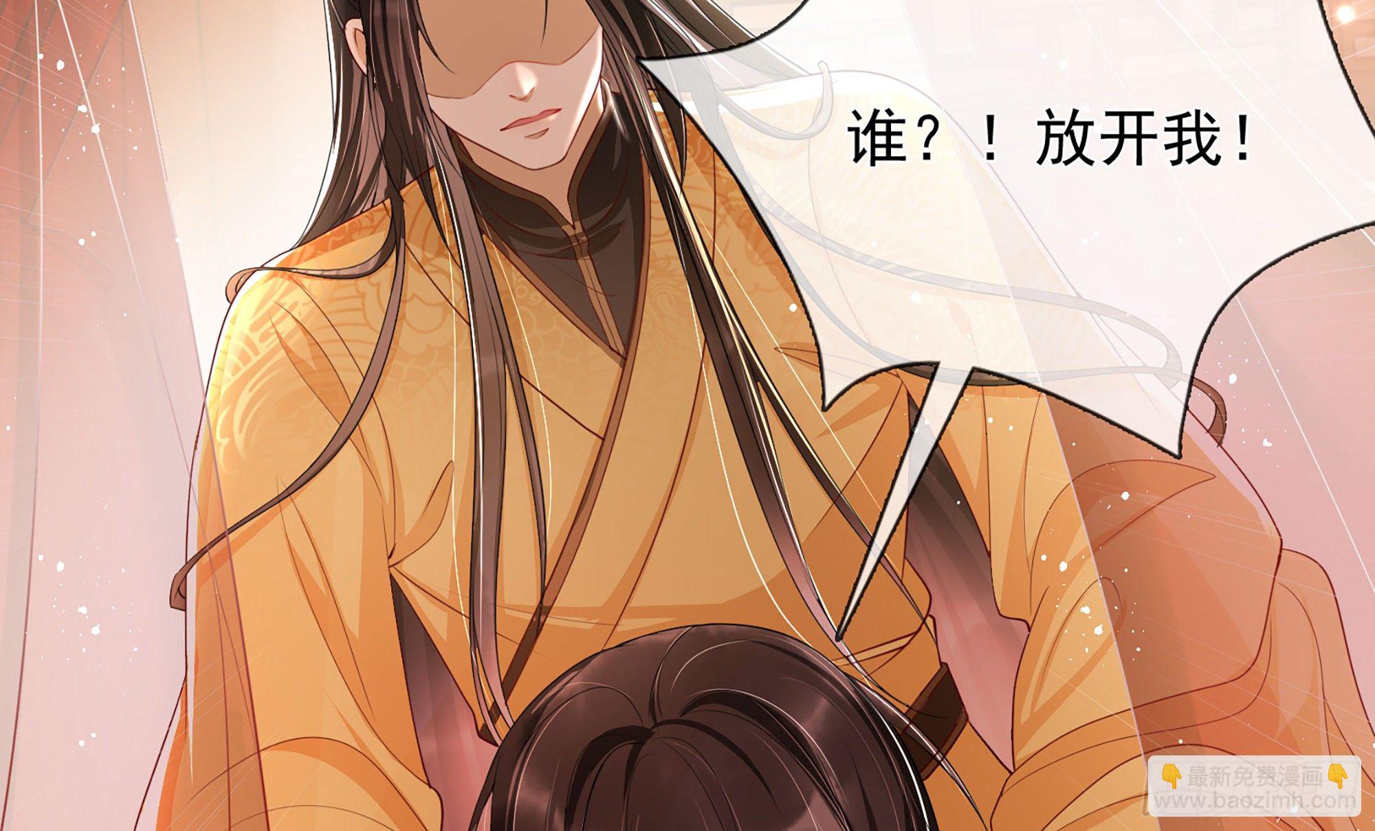 就宴承歡 - 01 替嫁入宮(3/3) - 5