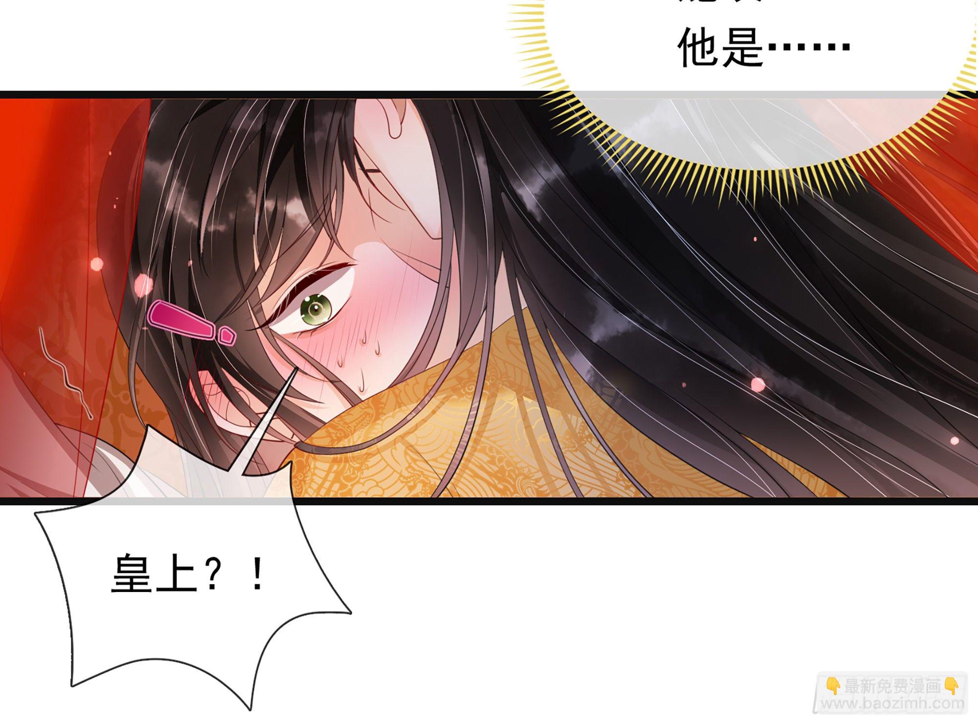 就宴承歡 - 01 替嫁入宮(3/3) - 4