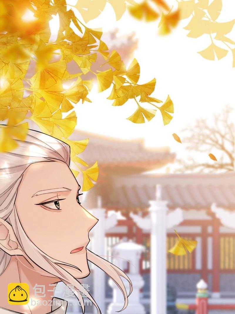 第65话 喜轿-第65话