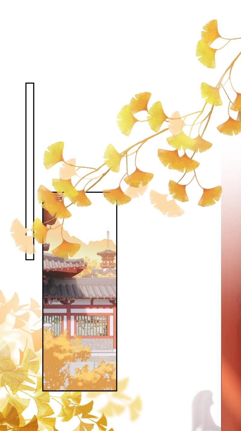 第65话 喜轿-第65话