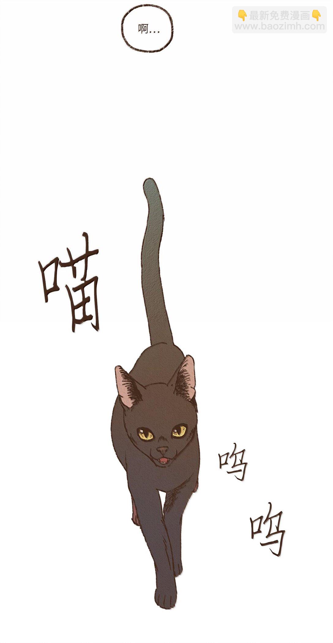 九柱神 - 159 我還沒有柔弱到不能自理 - 4