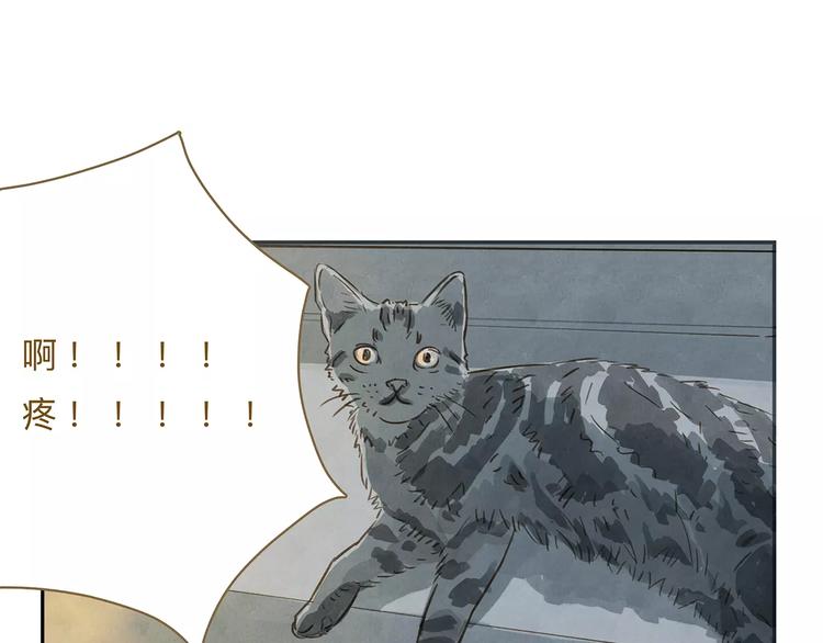 第17话  马萨基(1/2)-第21话