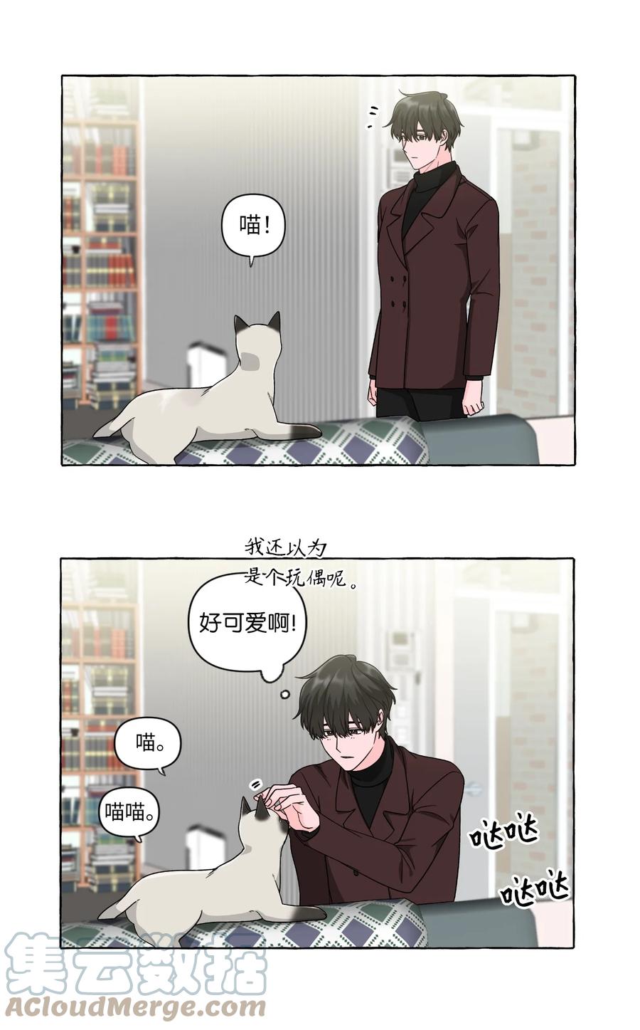 39 在姑妈家过夜-第39话