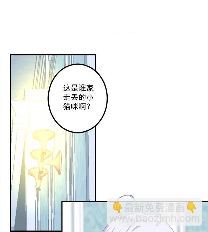 第3话 这是谁家的小猫咪？！(1/2)-第83话