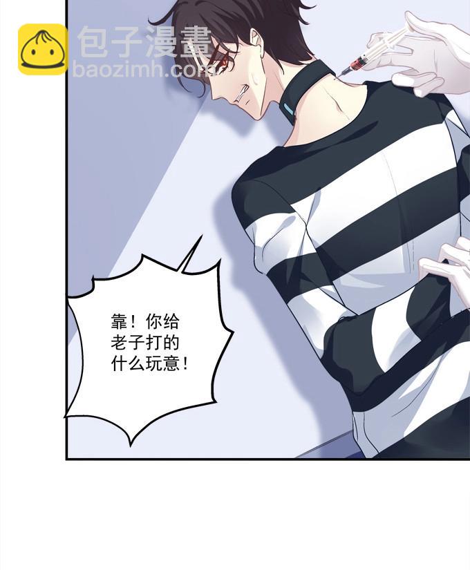 第3话 这是谁家的小猫咪？！(1/2)-第83话