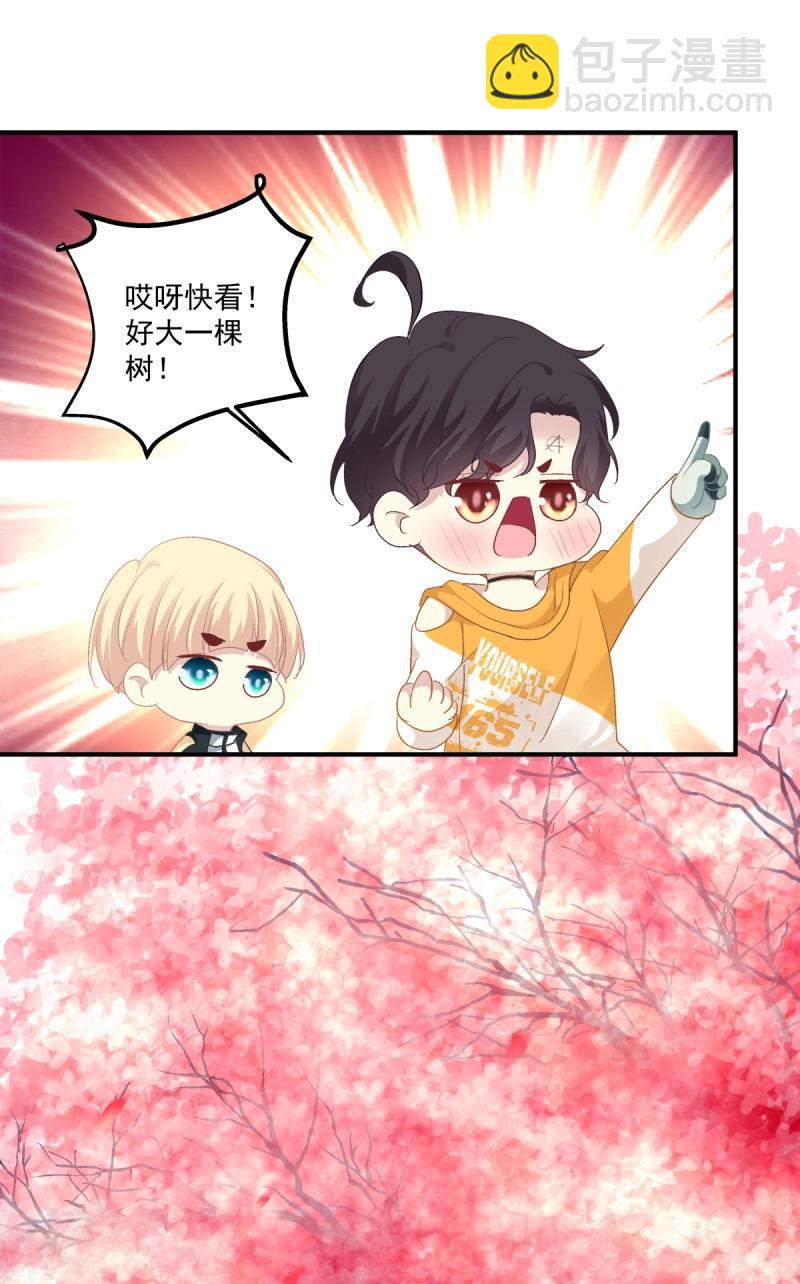 第44话 天上掉下个小天使！(1/2)-第89话