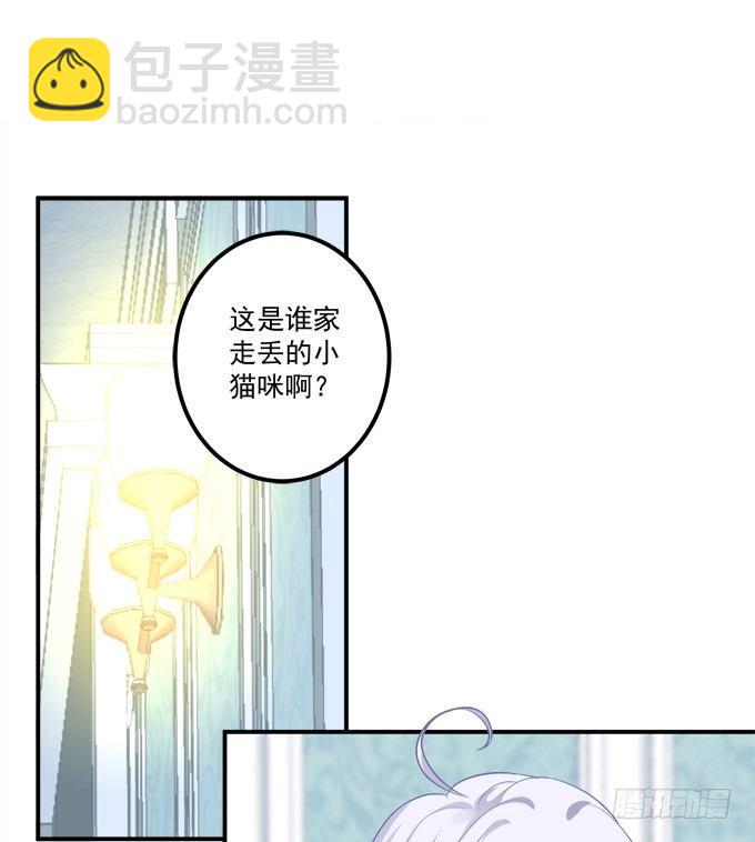絕對掌控（妄笙傳） - 這是誰家的小貓咪？！(1/2) - 4