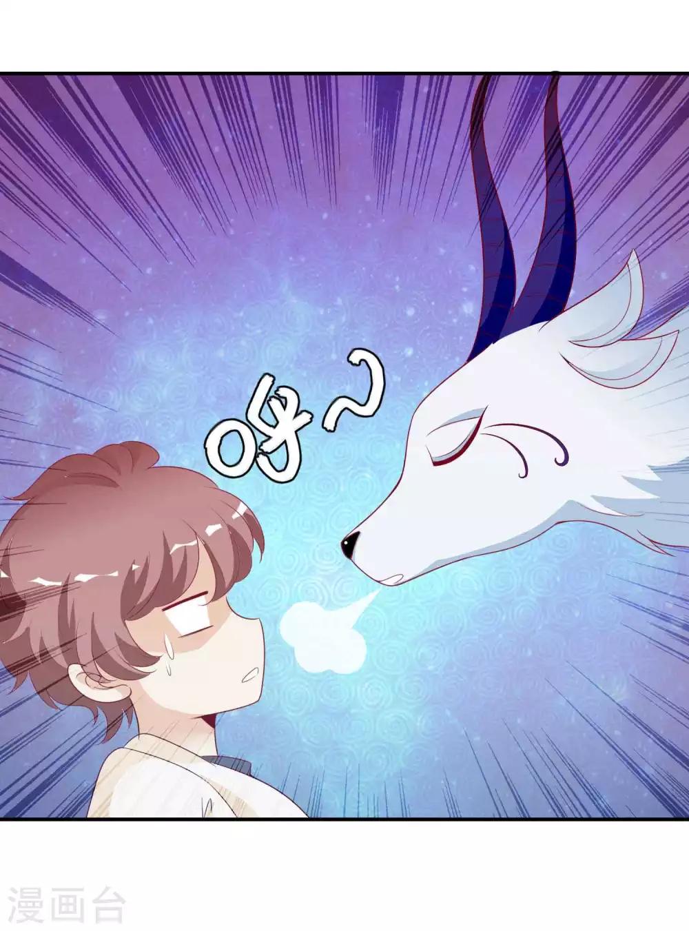 第95话 蛋蛋又又孵化了-第103话