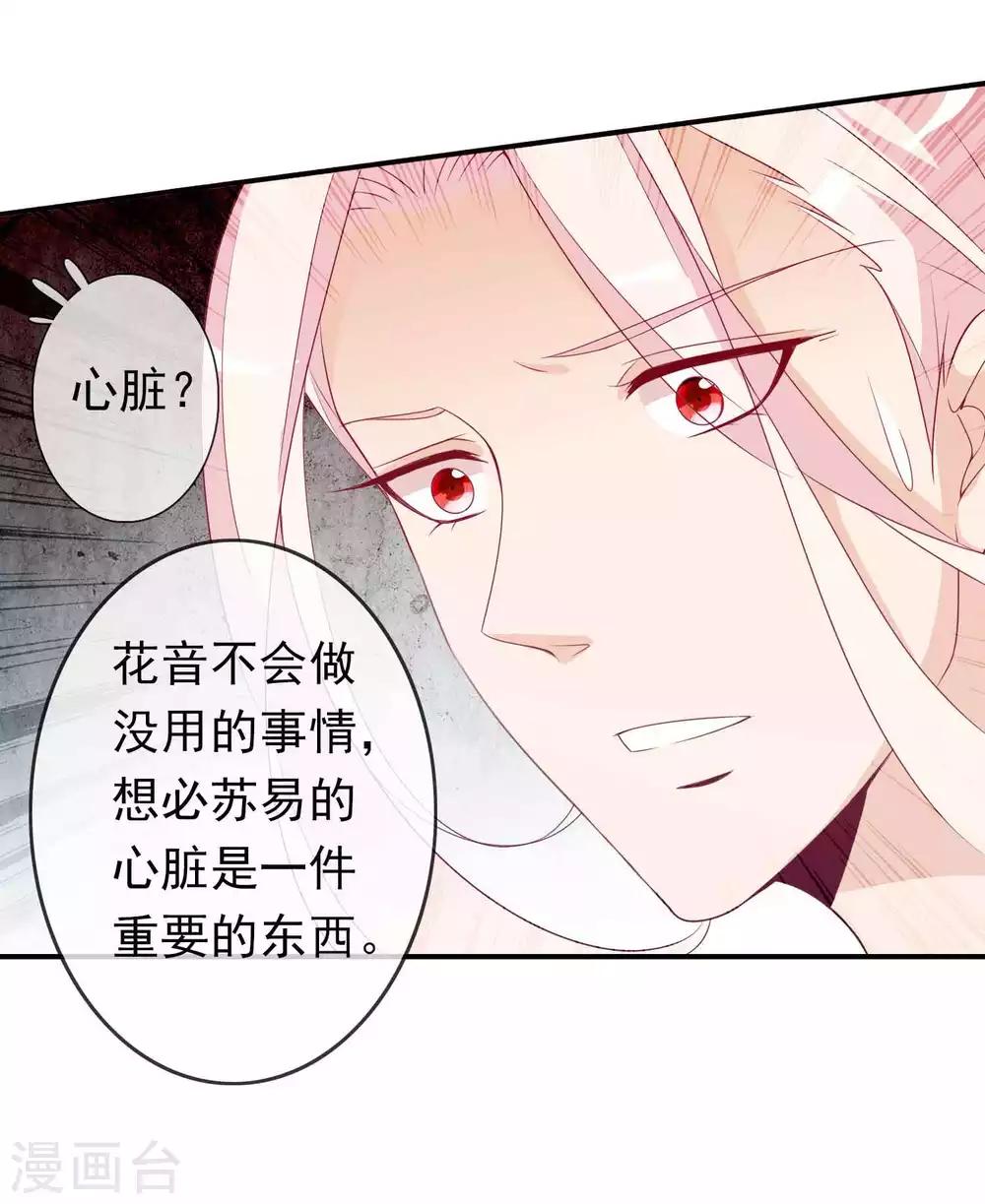 第95话 蛋蛋又又孵化了-第103话