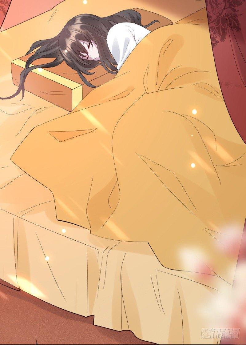 第2话 你带我回家(1/2)-第3话