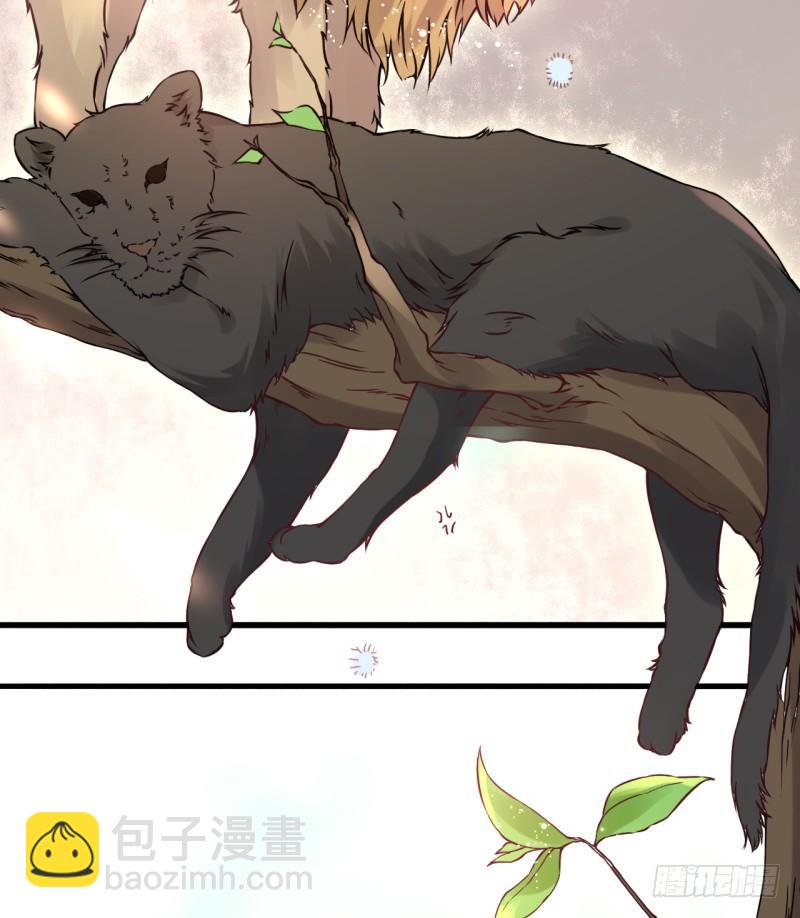 第2话 你带我回家(1/2)-第3话