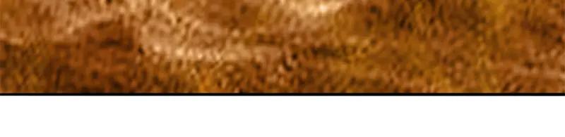 絕世戰魂 - 第756話 隱蔽的空間(3/4) - 4