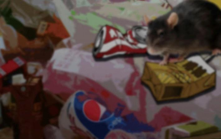 第25话 上-第35话