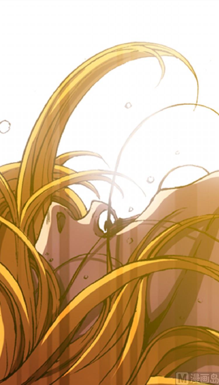 第80话(1/2)-第97话