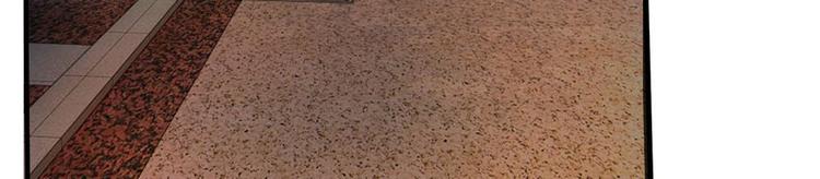 第15话(1/2)-第15话