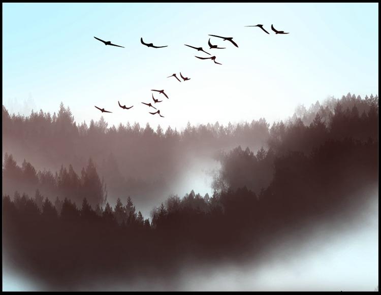 第3集(1/2)-第3话