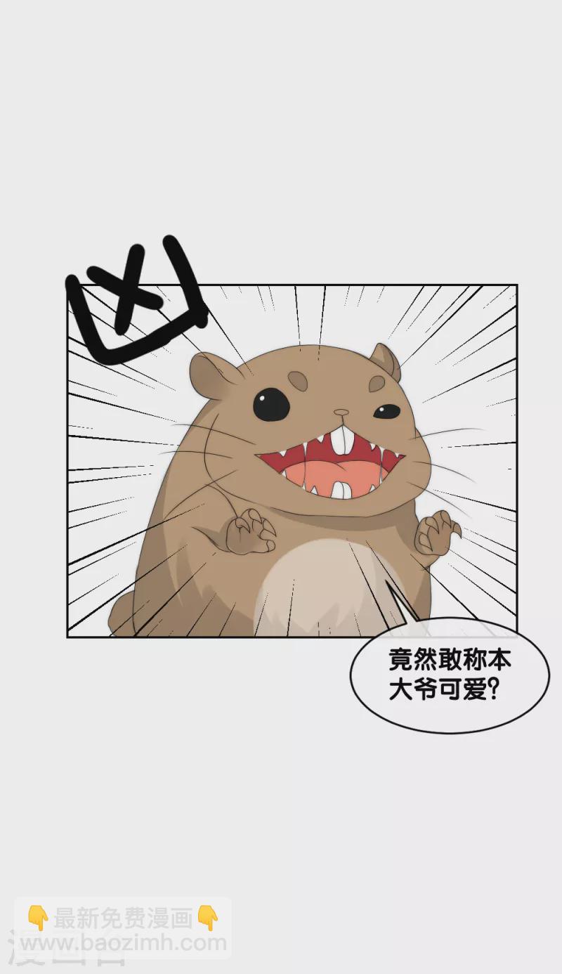 第2季第13话 善音殿下杠上小绿茶-第137话