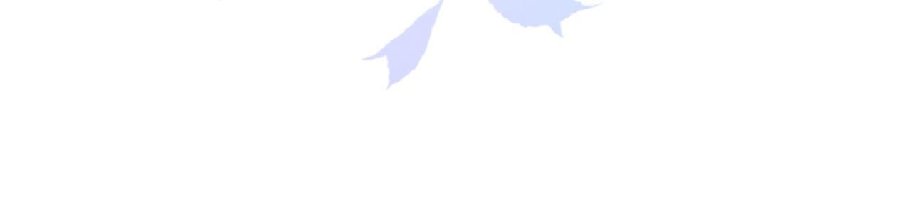 第42话 追求者！(1/4)-第43话