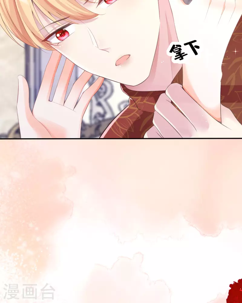 開掛女配攻略系統美男 - 第18話 我的皇后之位(1/2) - 3