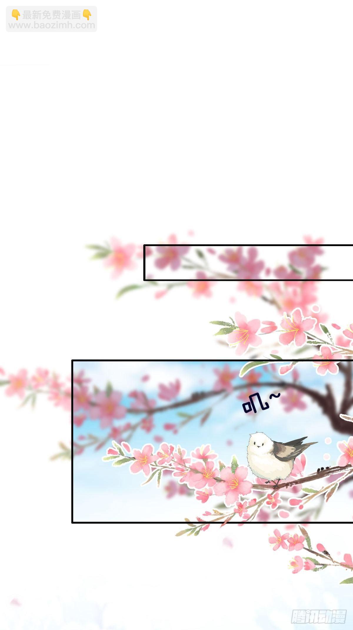 開掛女配攻略系統美男 - 第1話 倒黴，我穿越了 - 2