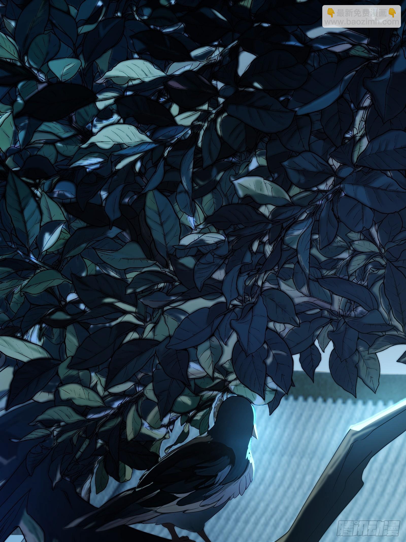 融合！明皇和努赤仪！(1/2)-第11话