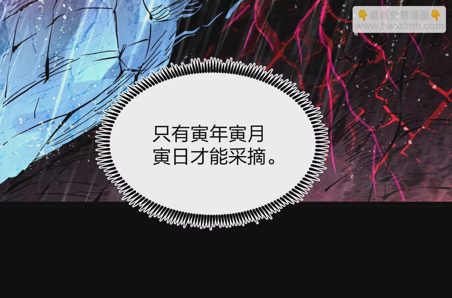 002 崖底的神秘美女们(1/3)-第3话