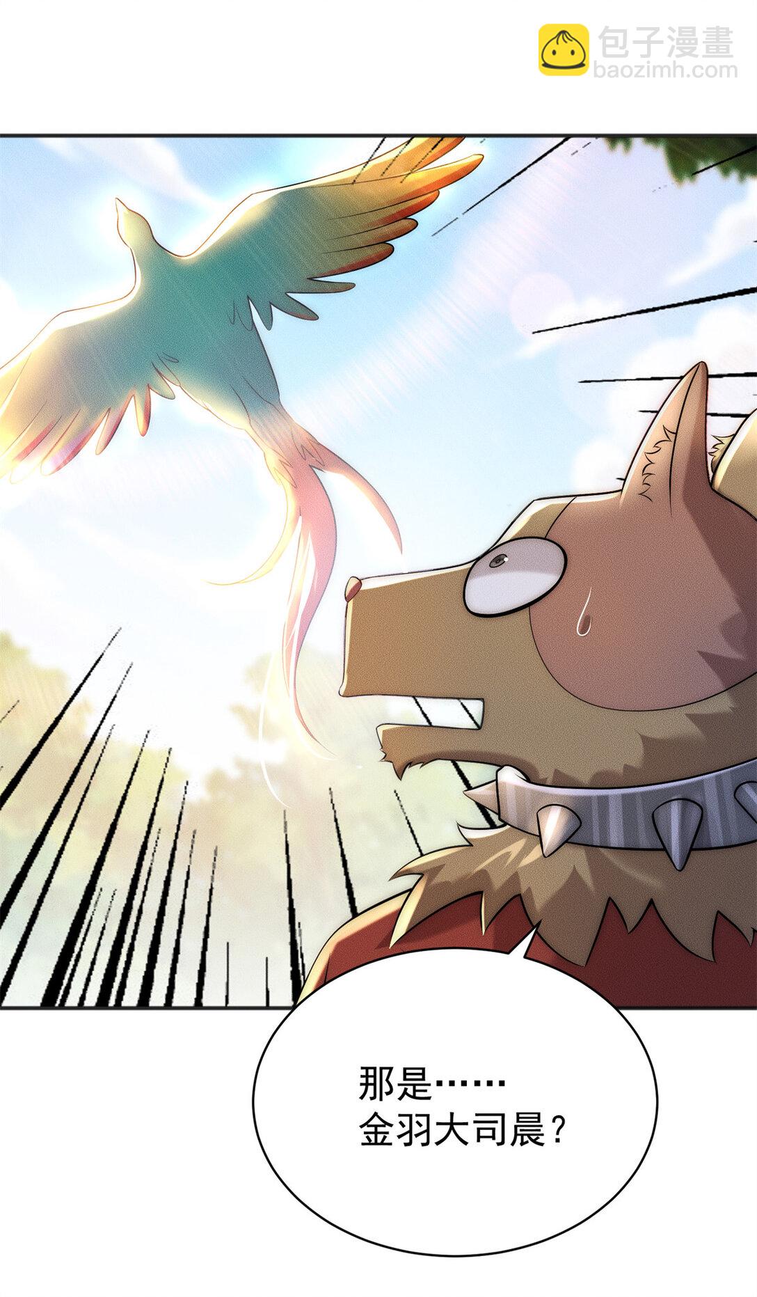 115 金羽大司晨-第115话