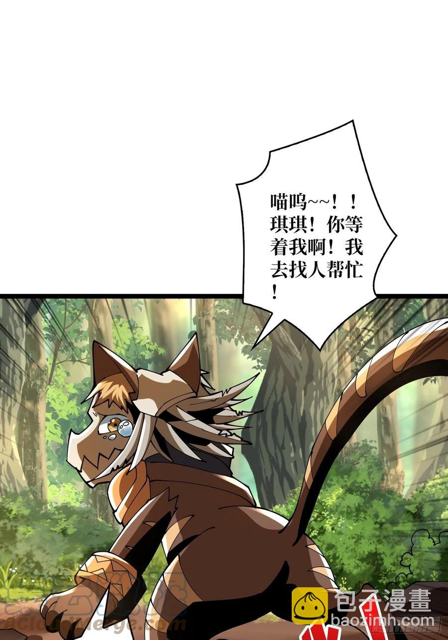 開局就有王者賬號 - 貓的報恩(1/2) - 7