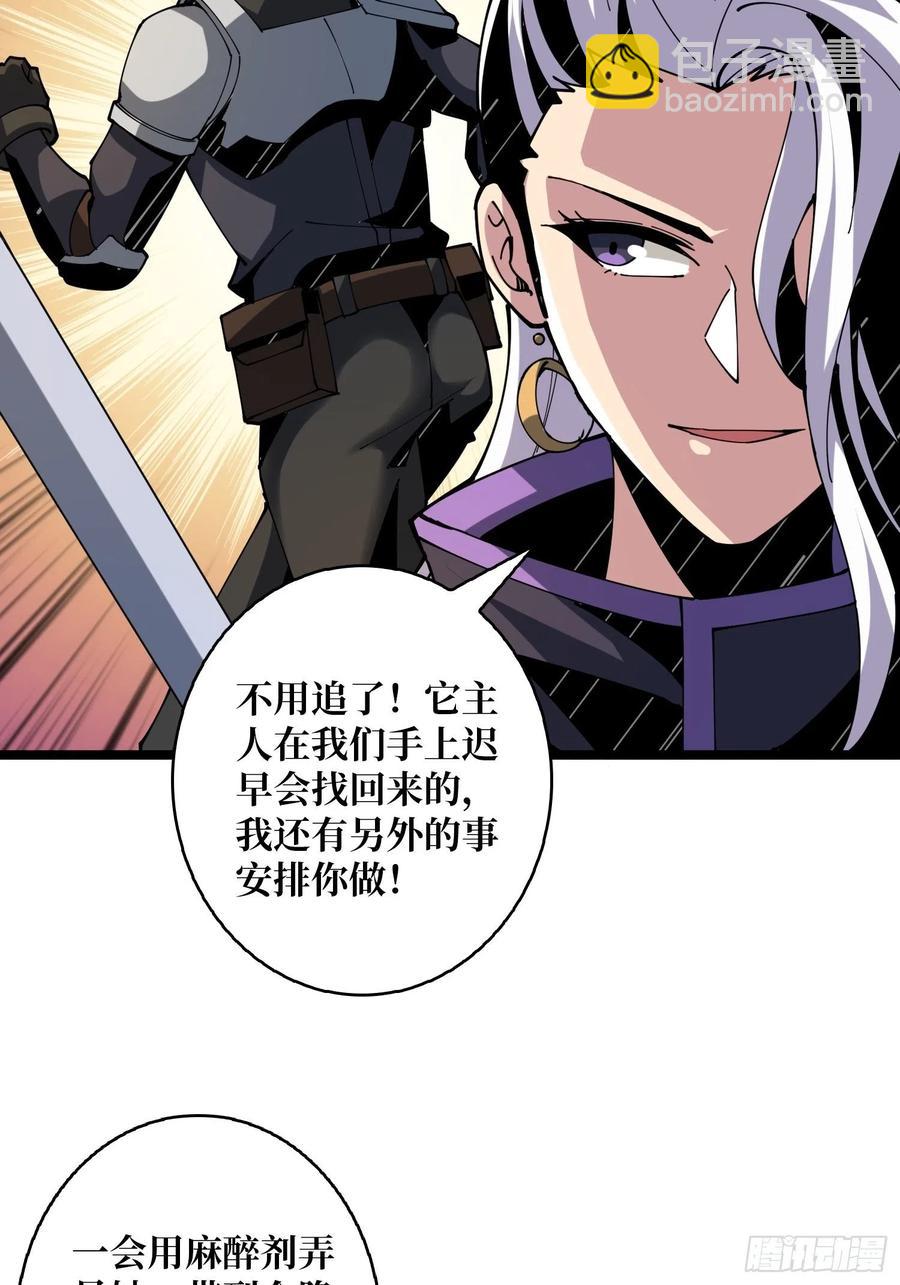 開局就有王者賬號 - 貓的報恩(1/2) - 1