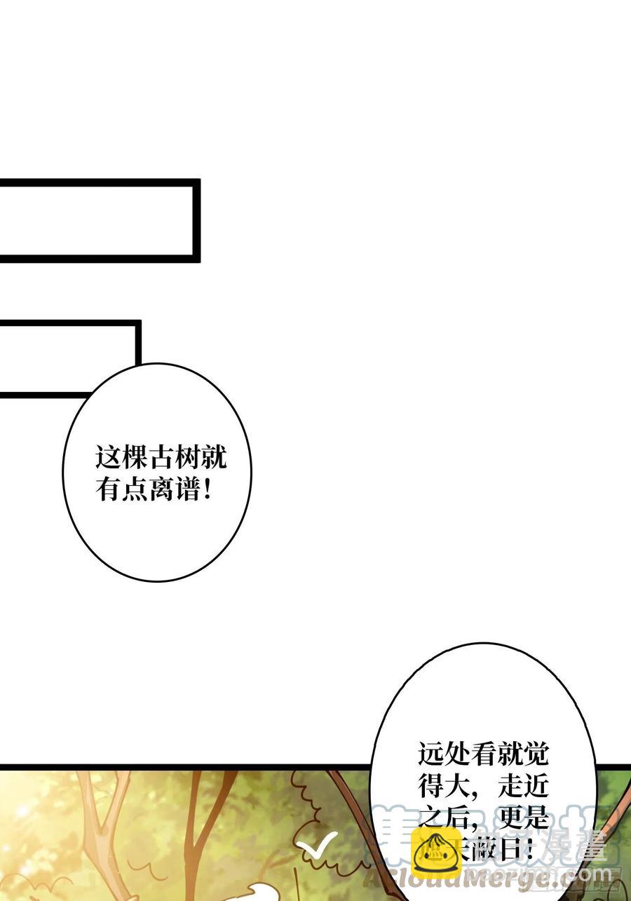 开局就有王者账号 - 猫的报恩(1/2) - 8