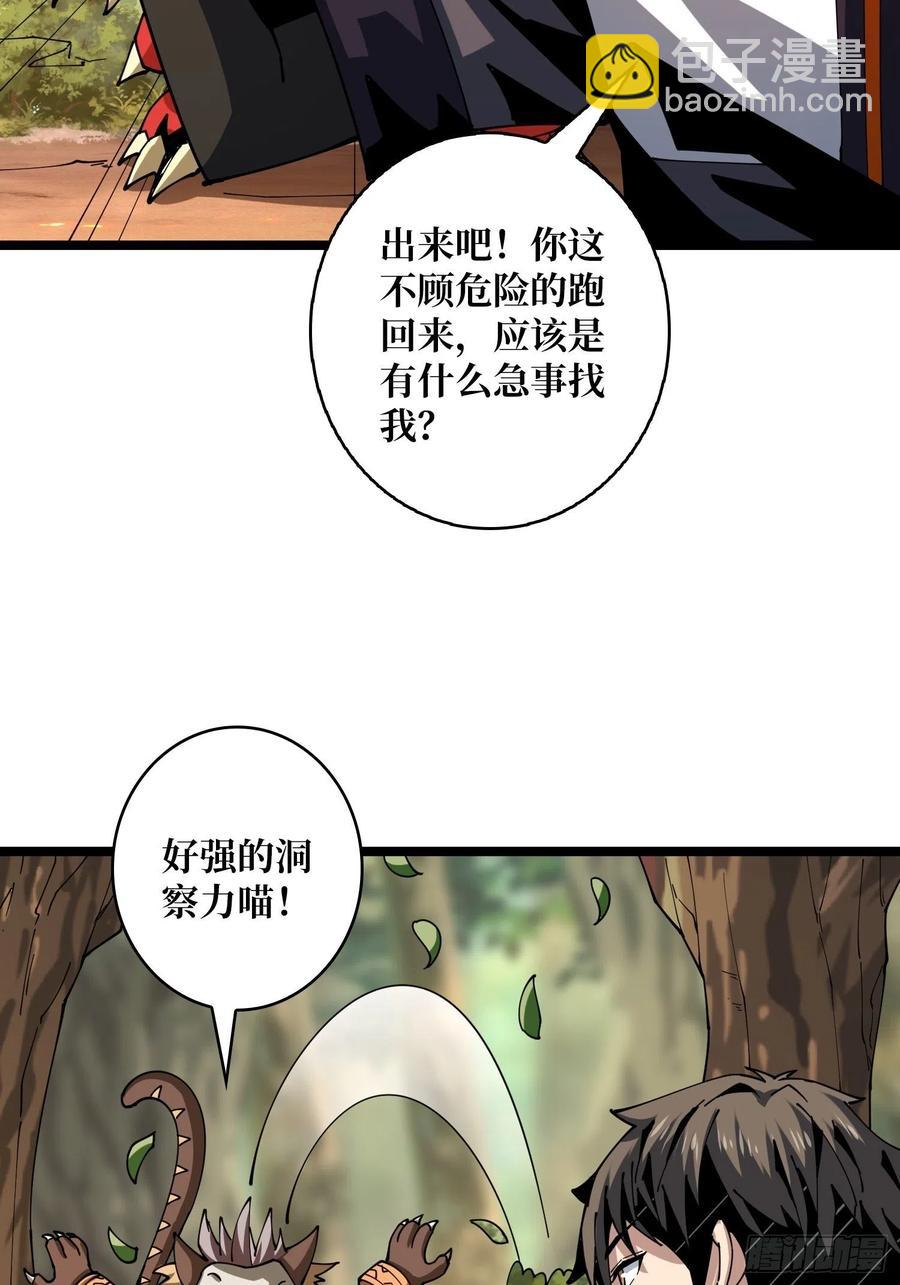 開局就有王者賬號 - 貓的報恩(1/2) - 7