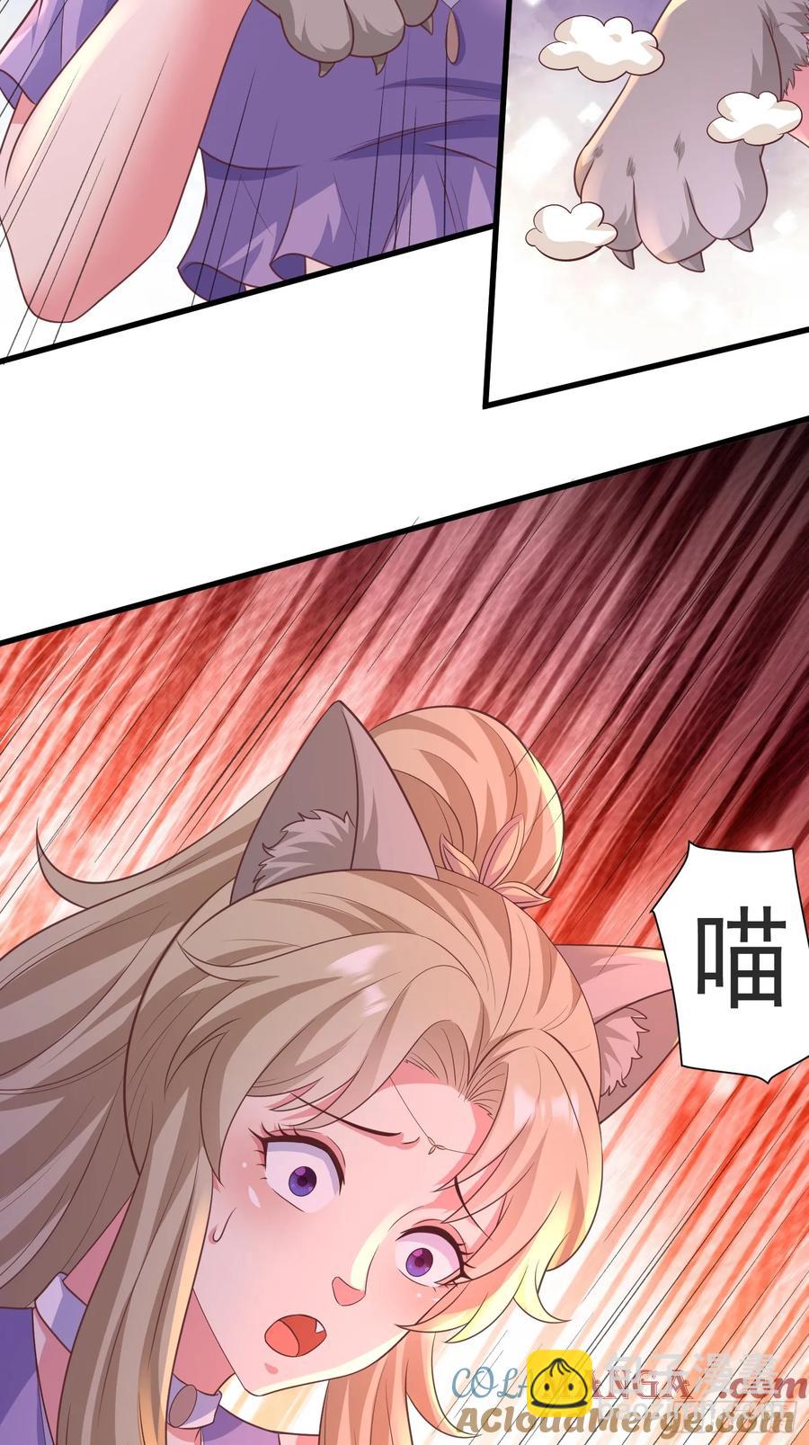 53风婷云变猫女？！(1/2)-第49话