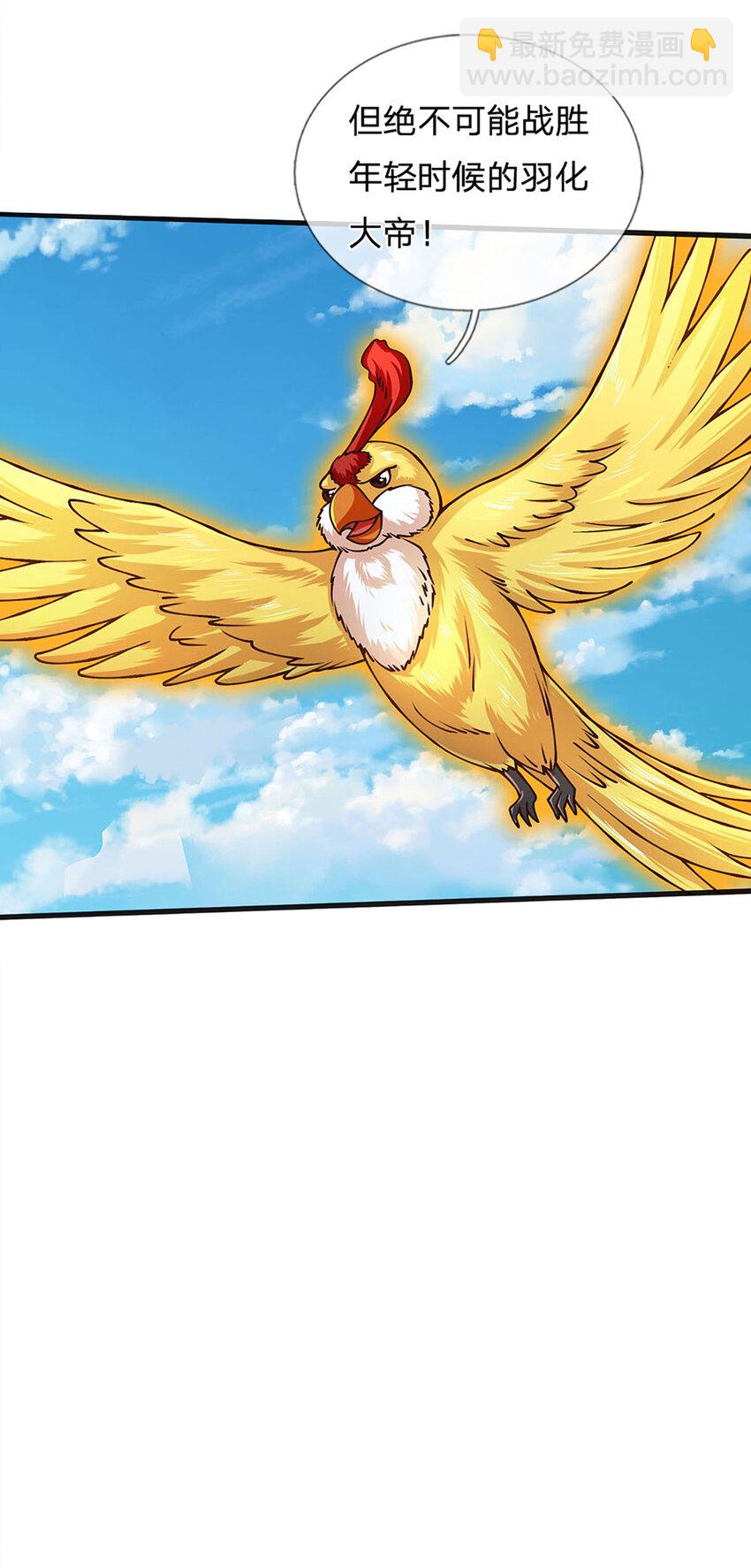 21.jpg