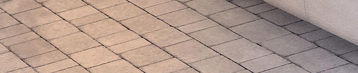 開局送掛：不按套路修仙 - 第78話  人怕出名豬怕壯(2/4) - 1